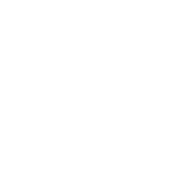Tessil 2000 da Ines